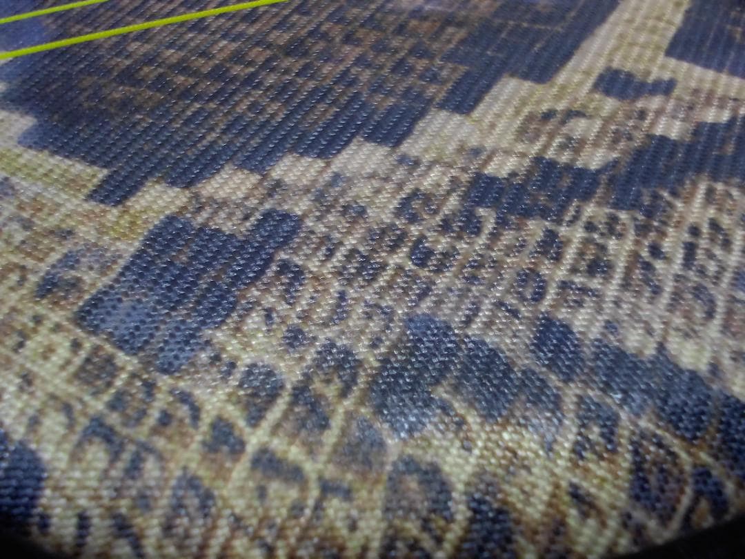 14FF3456 蛇柄 へび柄　三味線　ハードケース付