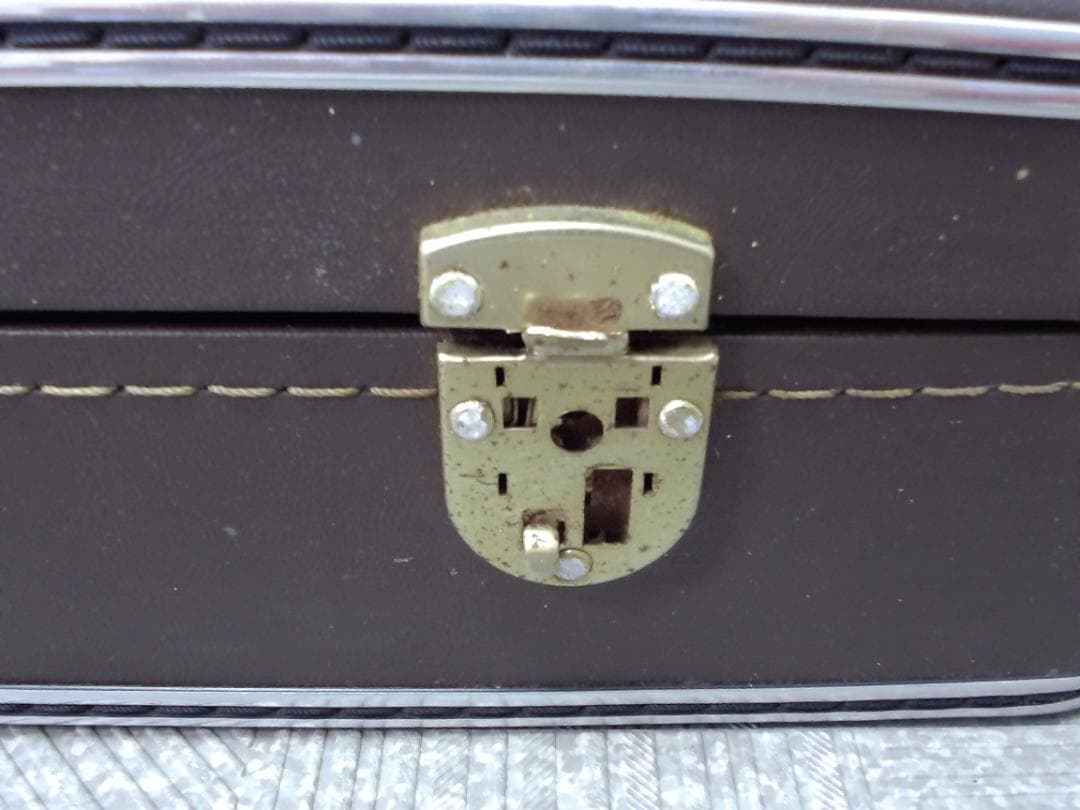 14FF3456 蛇柄 へび柄　三味線　ハードケース付