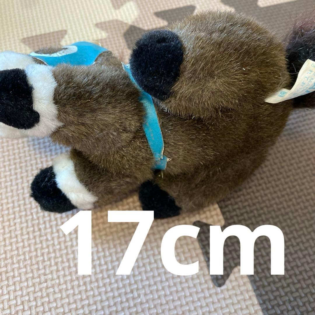 サラブレッド　ぬいぐるみセット 16体