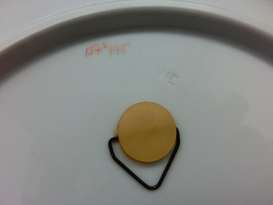 【マイセン】果実文飾り皿フック付き