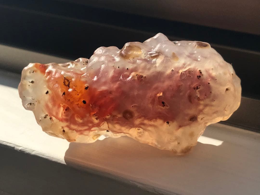 ゴビ石−1319 ゴビ瑪瑙　原石