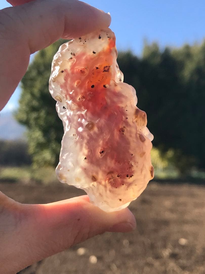 ゴビ石−1319 ゴビ瑪瑙　原石