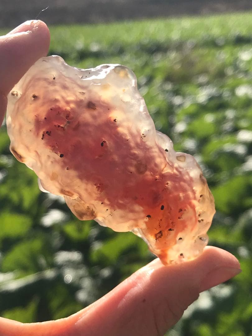 ゴビ石−1319 ゴビ瑪瑙　原石