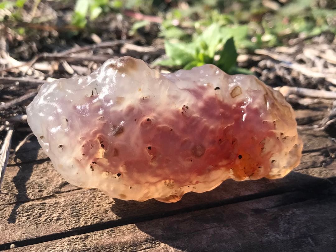 ゴビ石−1319 ゴビ瑪瑙　原石