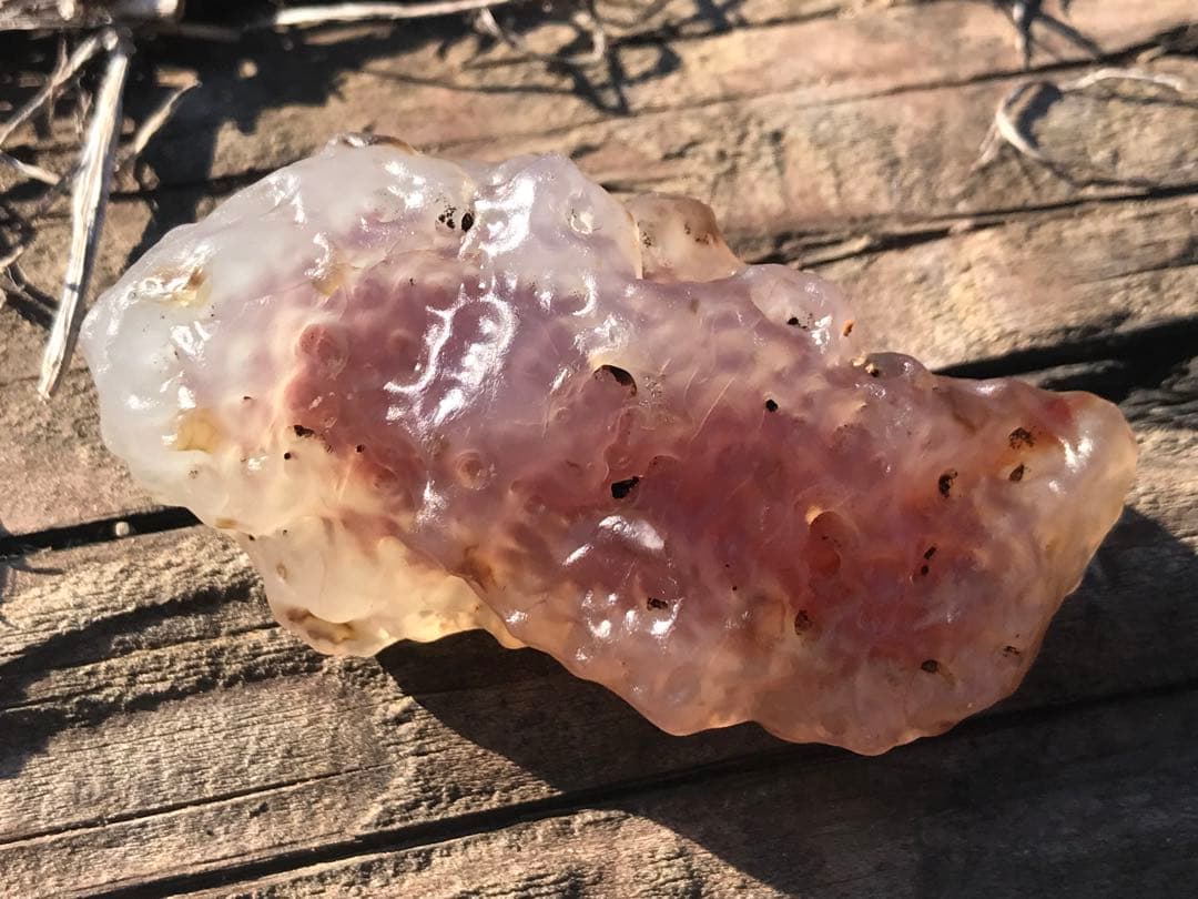 ゴビ石−1319 ゴビ瑪瑙　原石