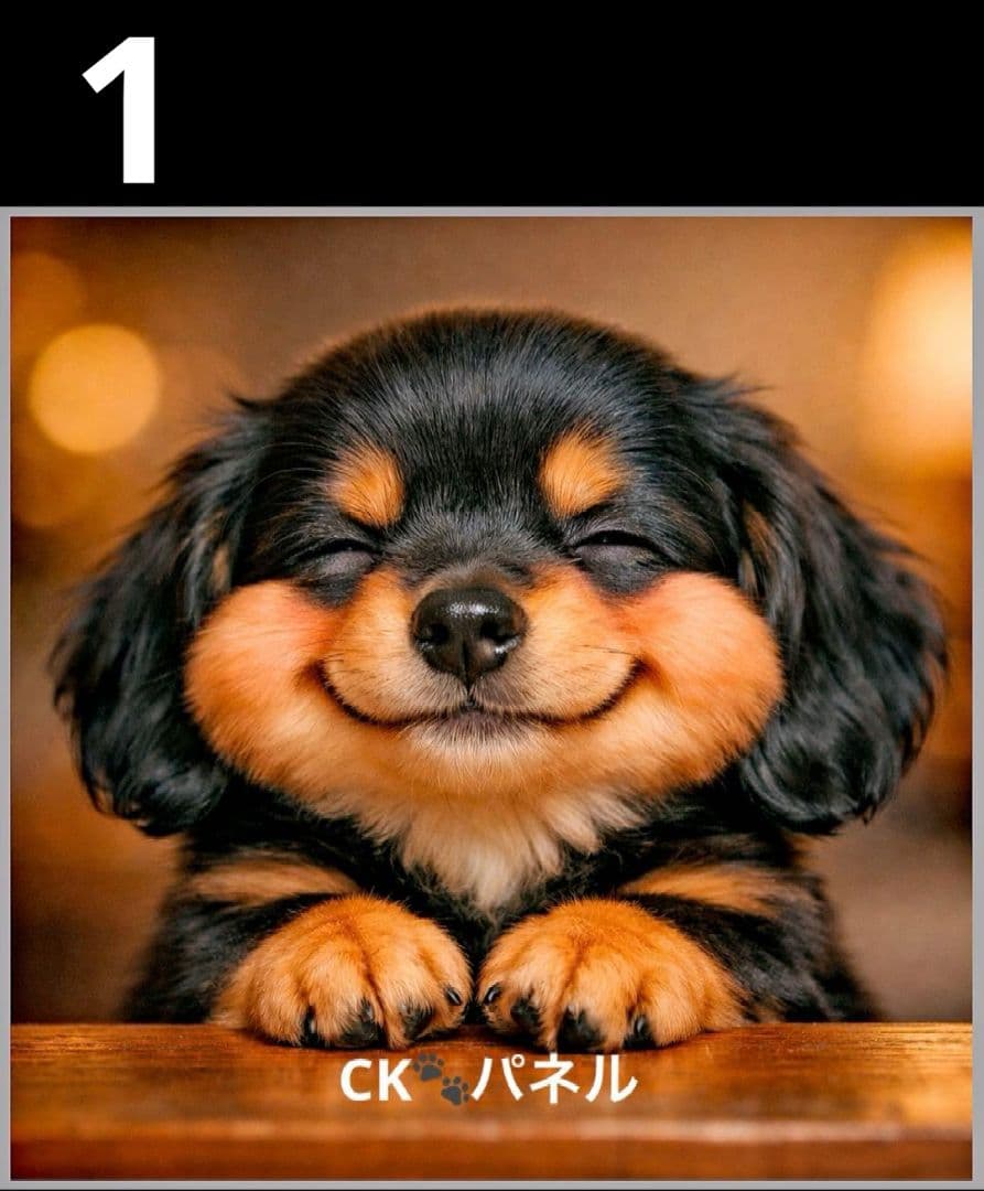 オーダーページ　ハンカチ155 ニンマリわんこ柄ハンドメイド3/20