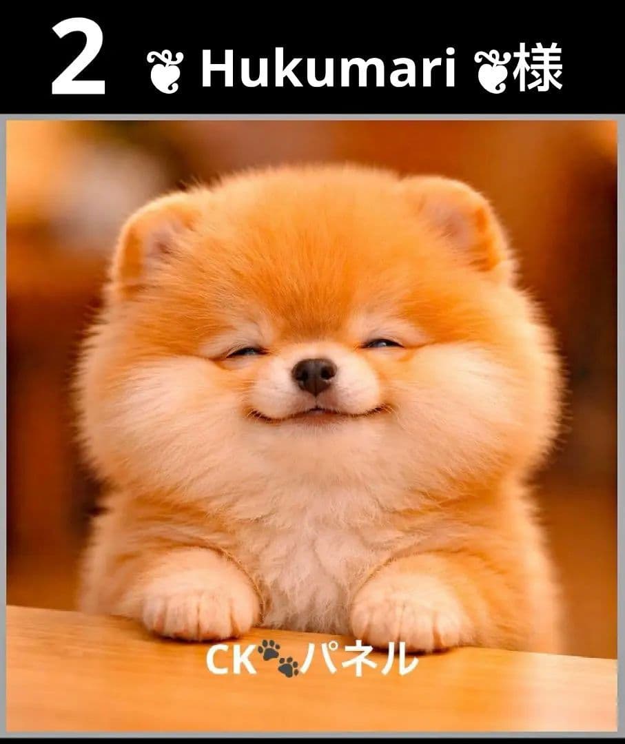 オーダーページ　ハンカチ155 ニンマリわんこ柄ハンドメイド3/20