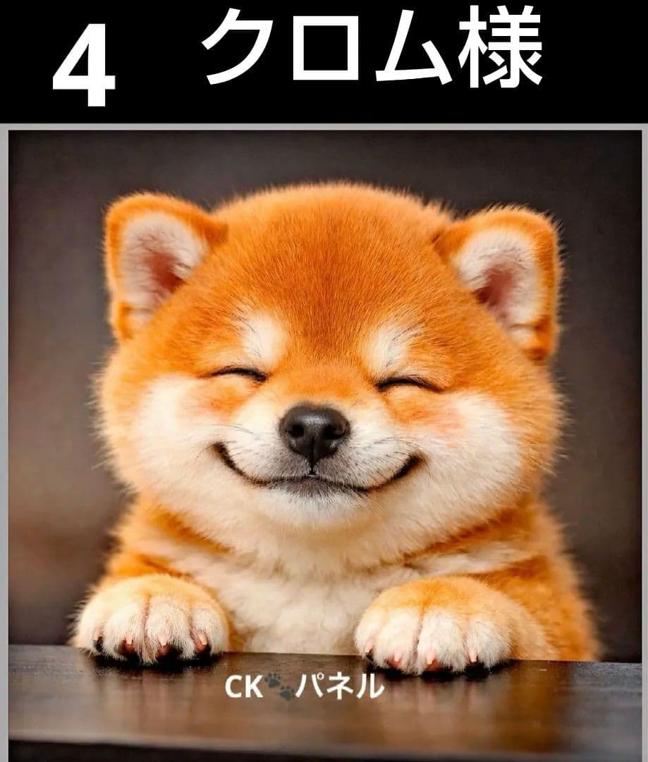 オーダーページ　ハンカチ155 ニンマリわんこ柄ハンドメイド3/20