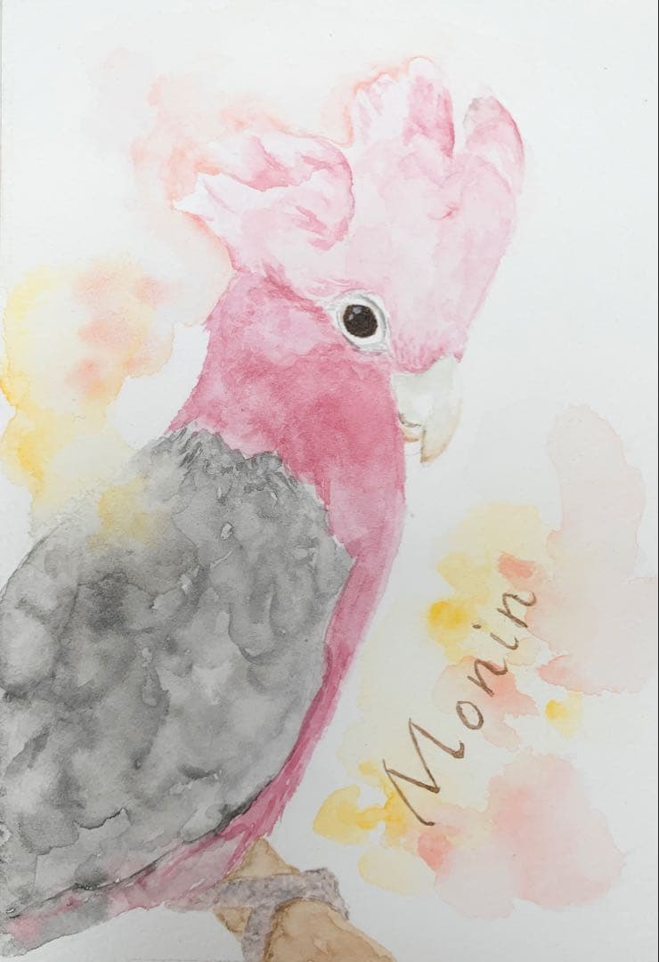 【専用】オーダー