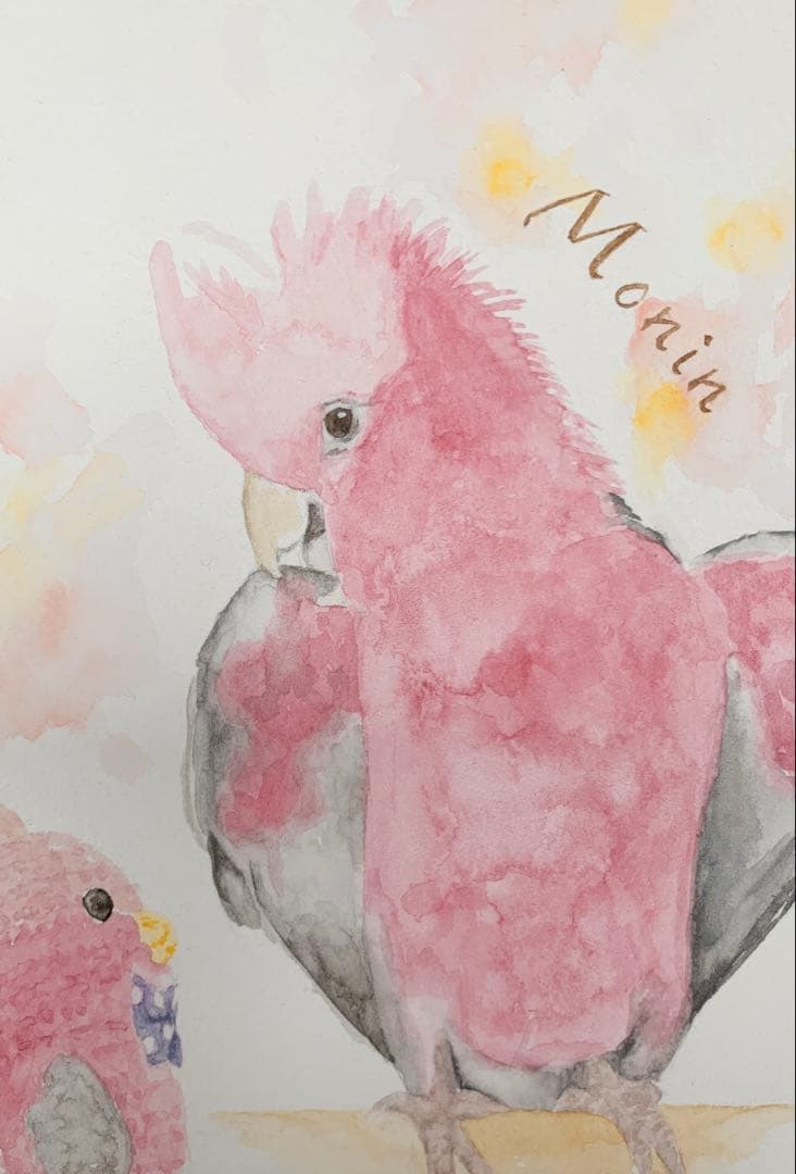 【専用】オーダー