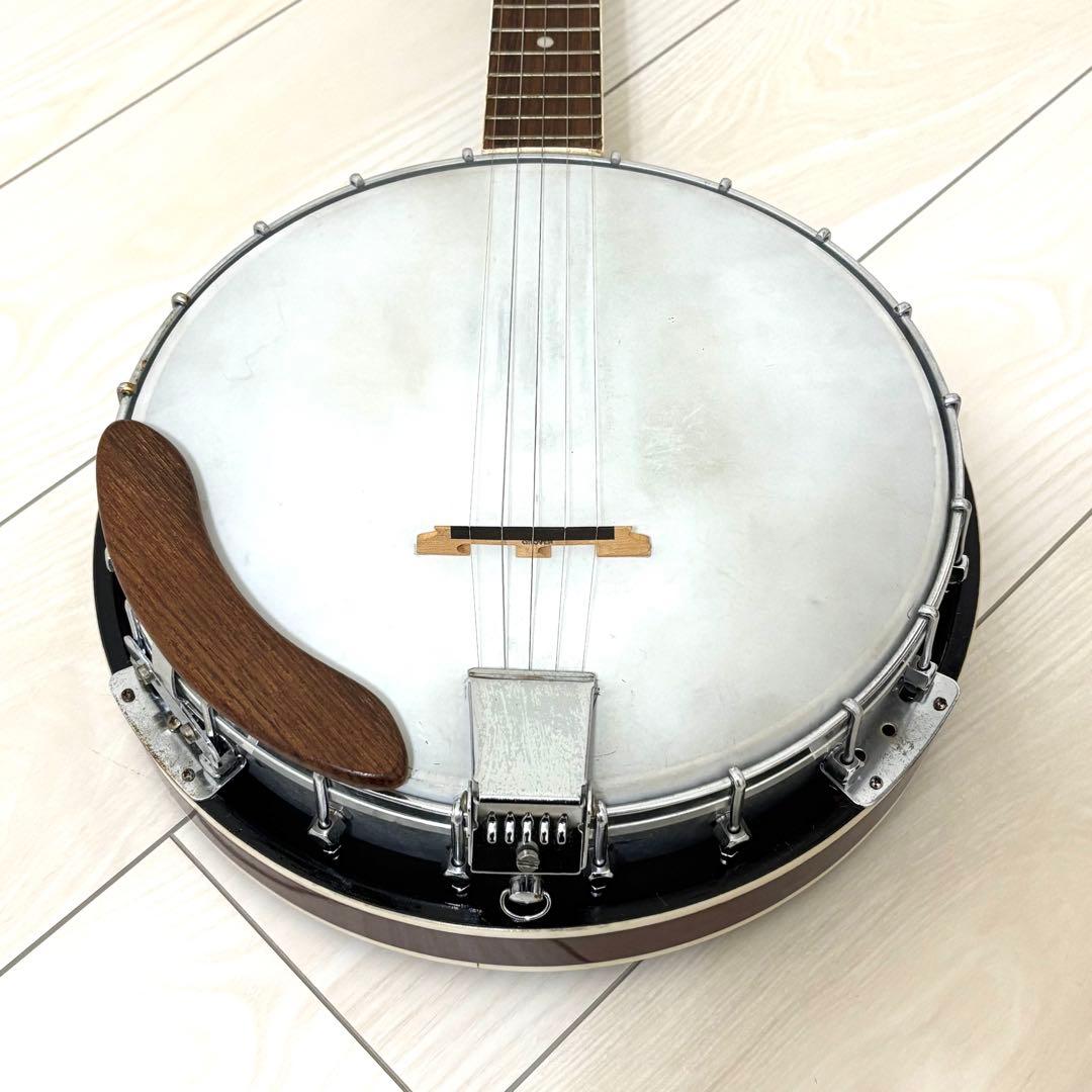 【美品】PIRLES ピアレス 5弦 バンジョーギター カントリー ハードケース