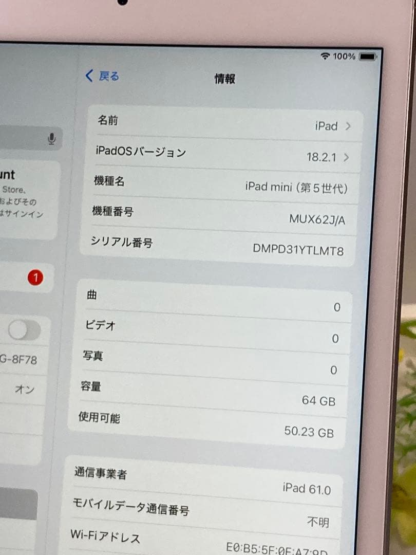 SIMフリー★ Apple iPad mini 5 Wi-Fi+Cellular