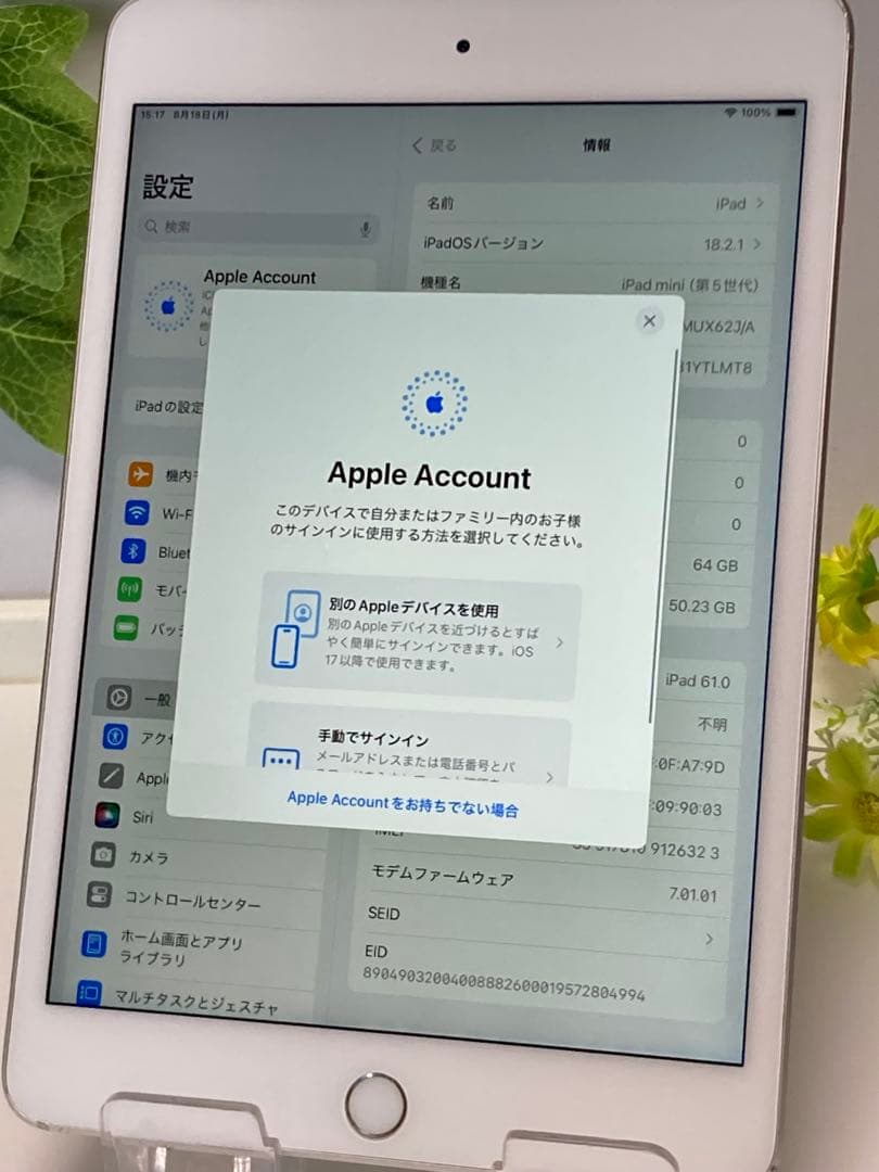 SIMフリー★ Apple iPad mini 5 Wi-Fi+Cellular