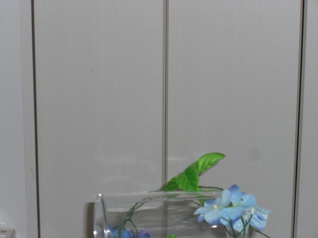 CASIO カメラ　エクシリム　EX-Z1080 グレー コンデジ　動作品