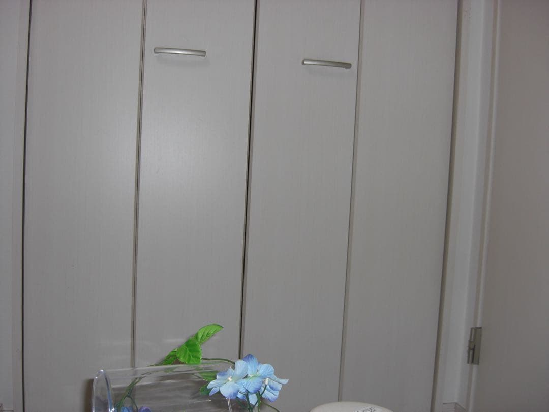 CASIO カメラ　エクシリム　EX-Z1080 グレー コンデジ　動作品