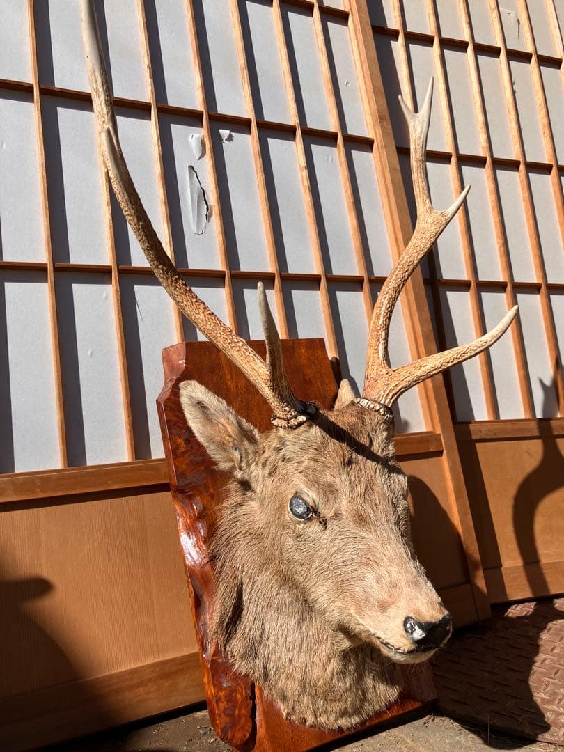 ハンティングトロフィー　壁飾り　鹿