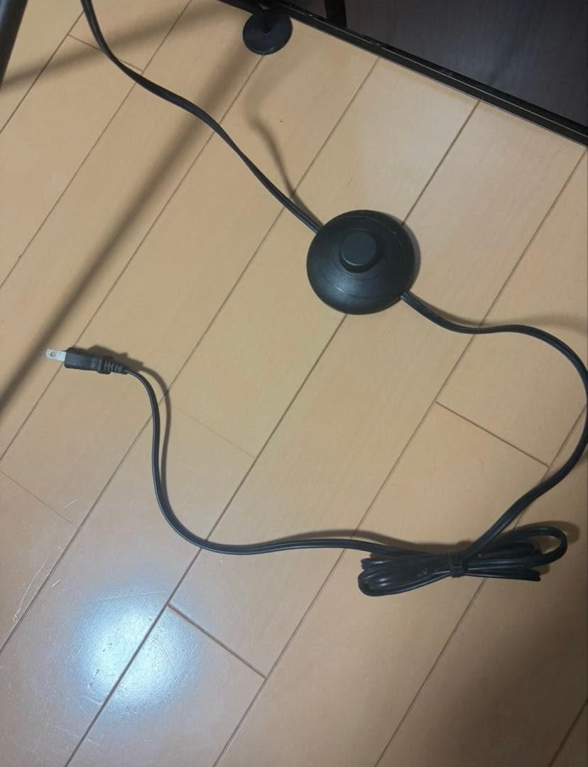 セルジュ・ムーユ　リプロダクト ランパデール アン ルミエール フロアスタンド