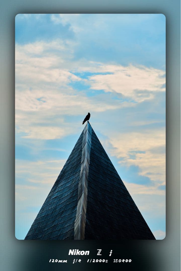 NIKON ニコン nikkor Z 24-120mm f4 S