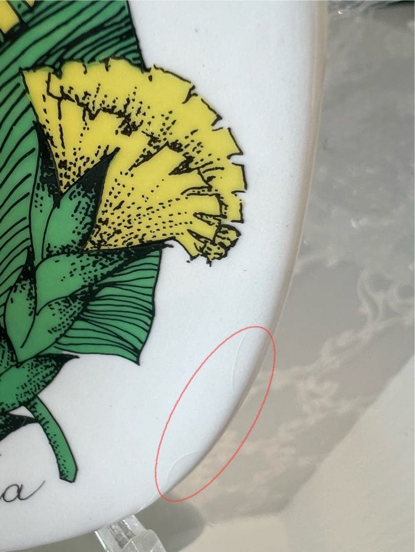 【アラビア　ボタニカ　ミニプレート　フキタンポポ】