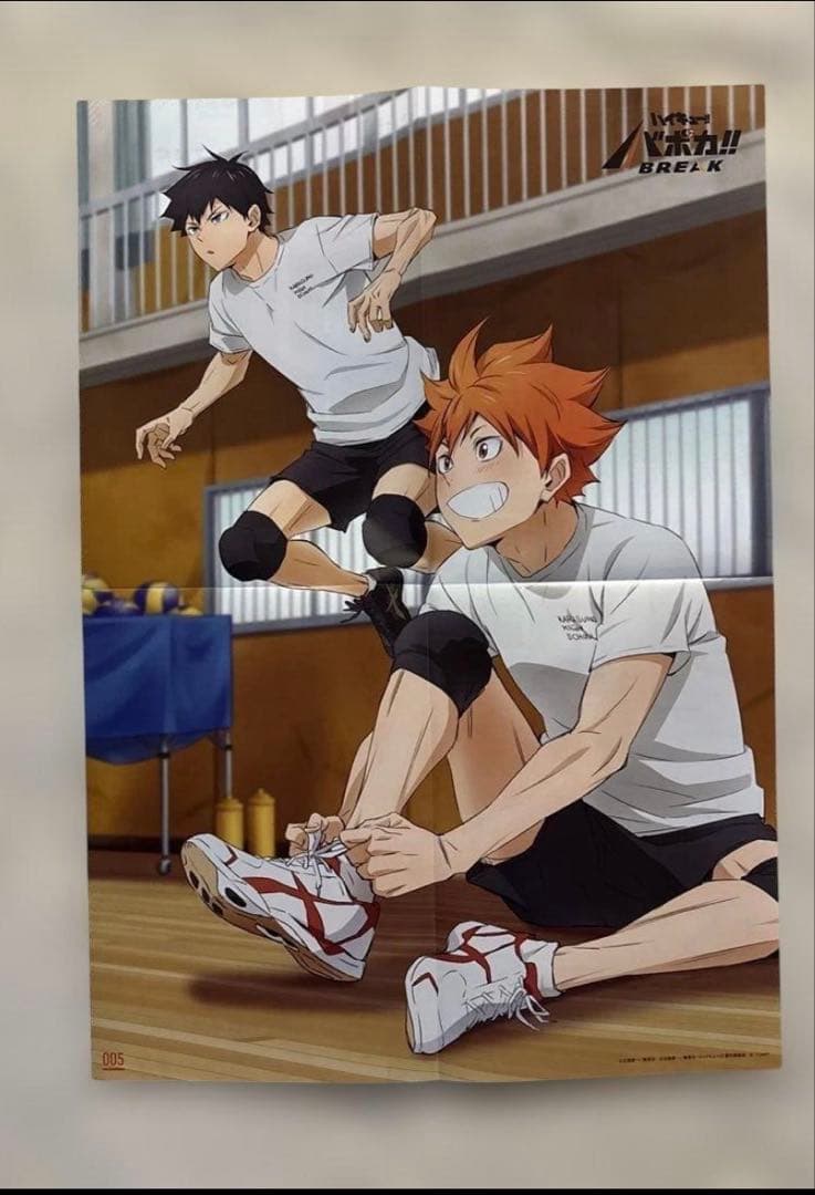 ハイキュー!! ポスター11枚セット