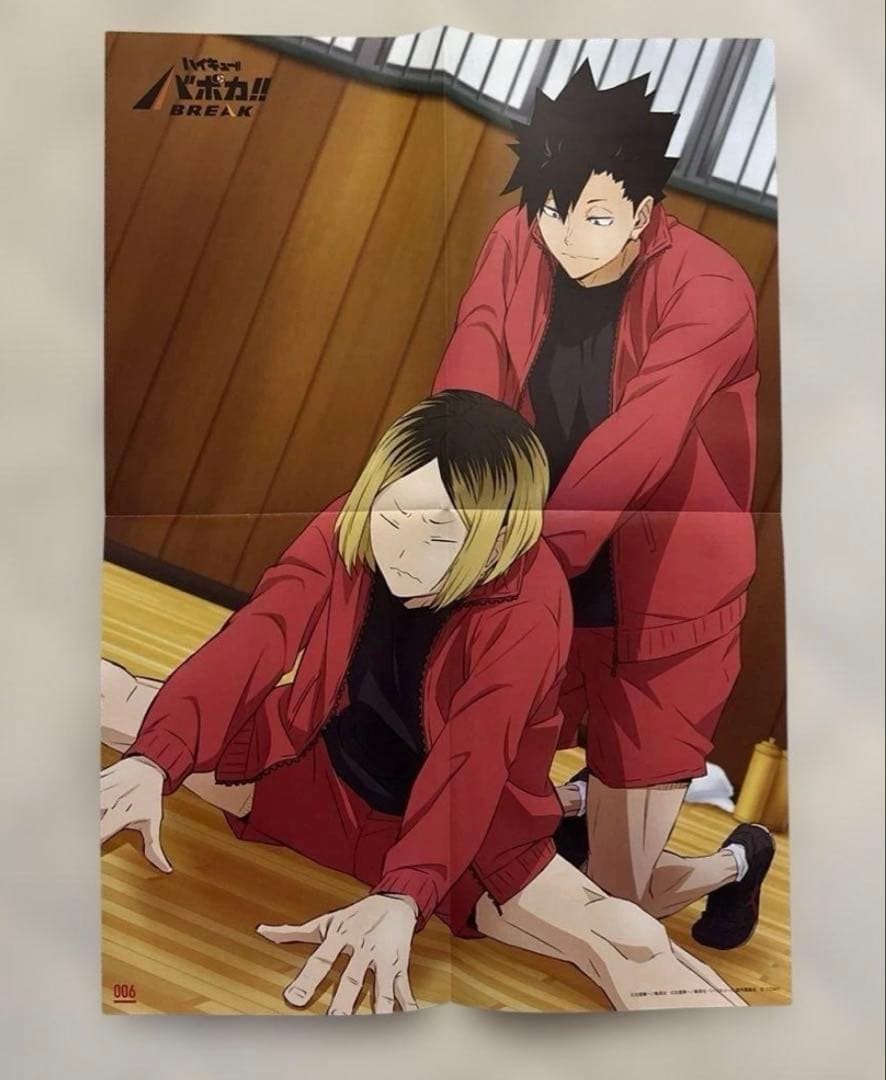 ハイキュー!! ポスター11枚セット