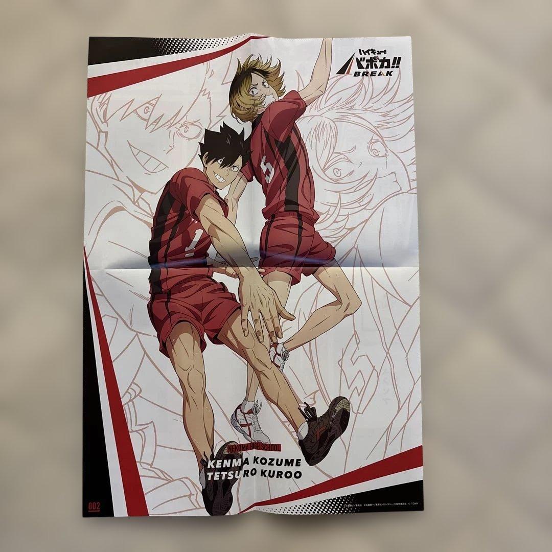 ハイキュー!! ポスター11枚セット