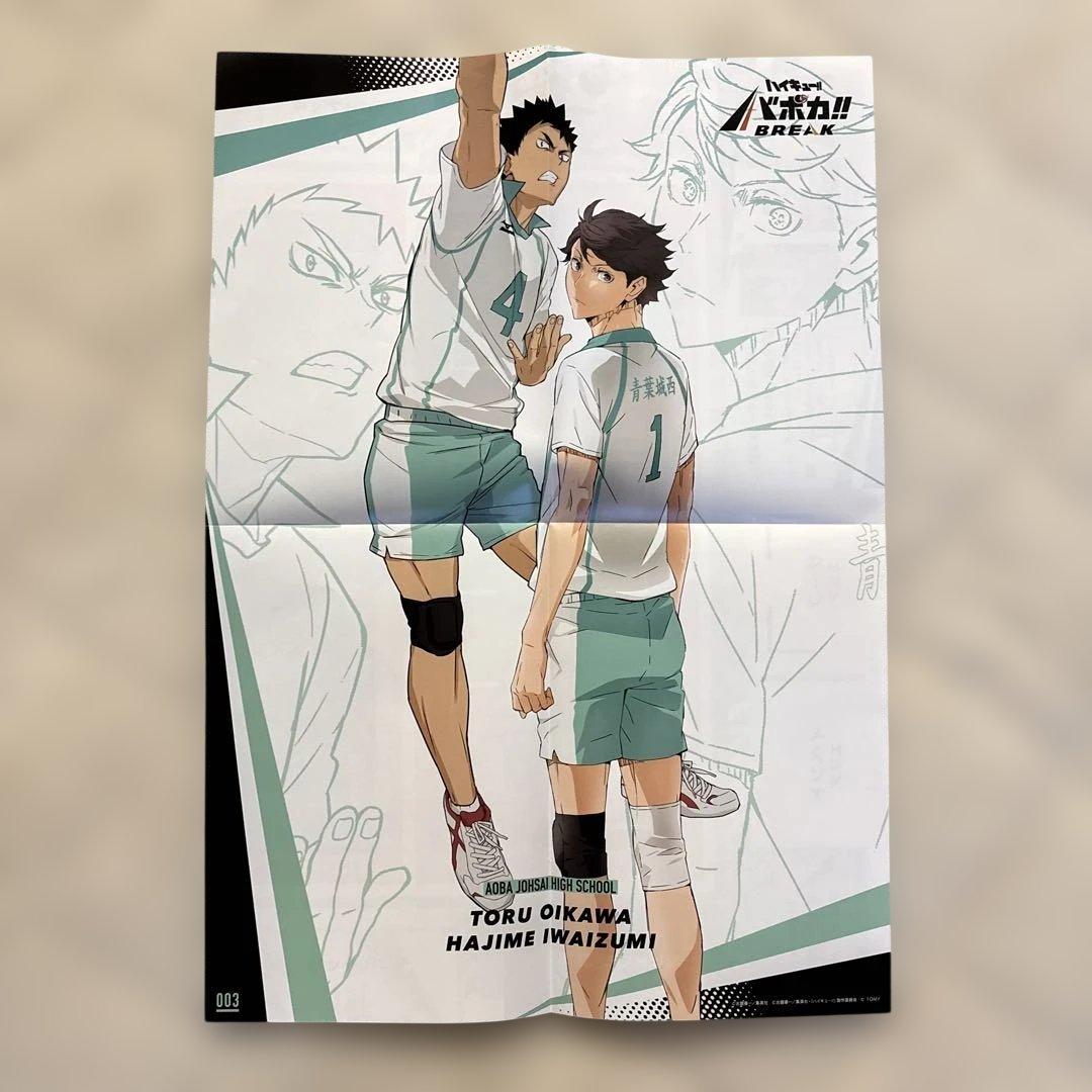 ハイキュー!! ポスター11枚セット