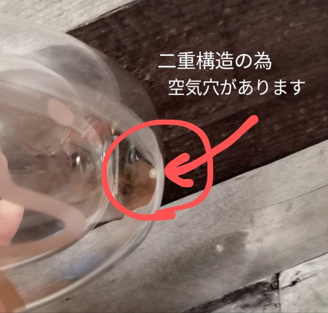 agnes b cafe限定　ステンレスボトル·ワイングラス セット