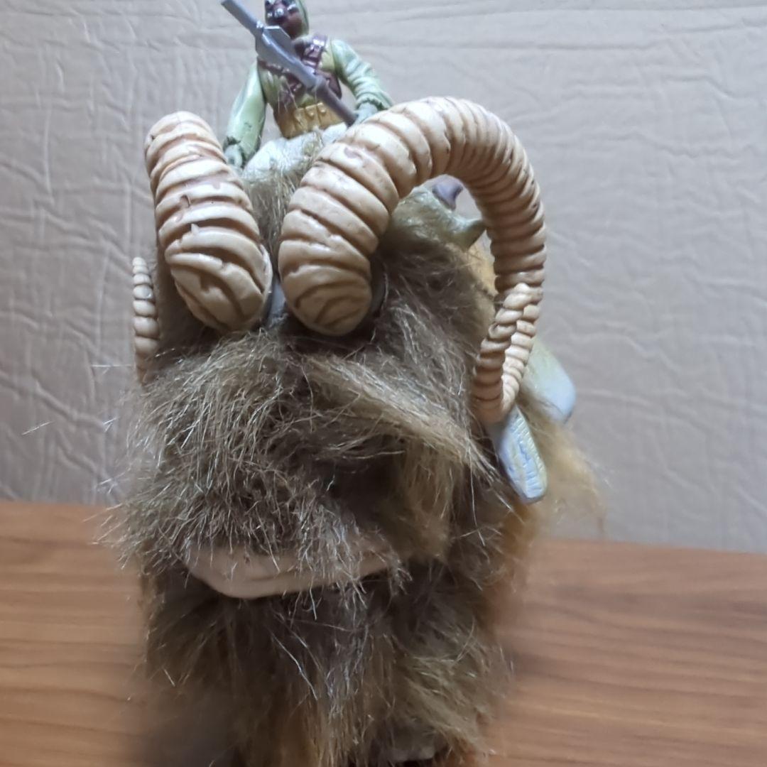 タスケンレイダーとバンサ