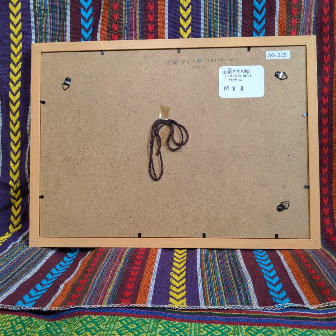 ※水彩画(菊)№215