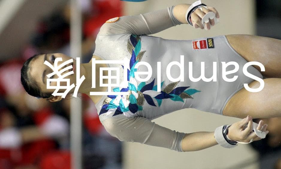 女子体操画像集 2016年全日本体操 種目別 1/2 高画質！7500枚 写真