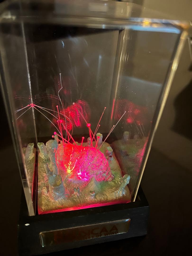 風の谷のナウシカ　アクアプラント 腐海の王蟲と胞子