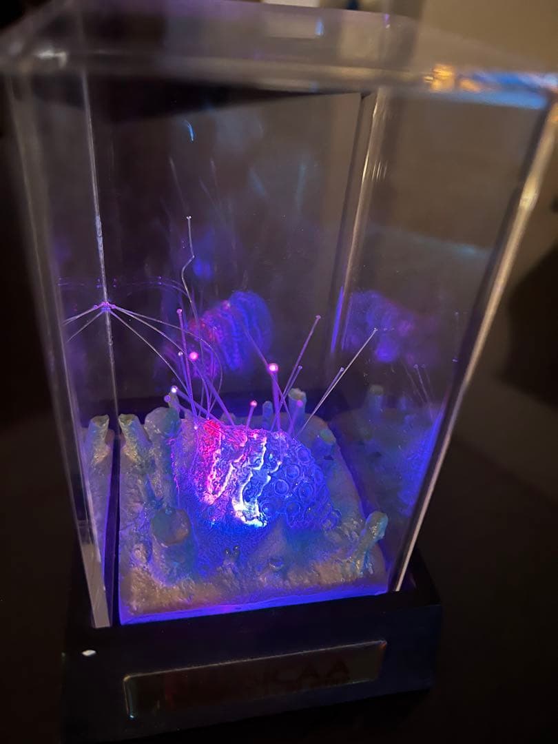 風の谷のナウシカ　アクアプラント 腐海の王蟲と胞子