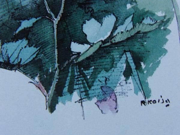 小磯良平、【野ばら】、希少な限定額装用画集画、新品高級額 額装付、状態良好