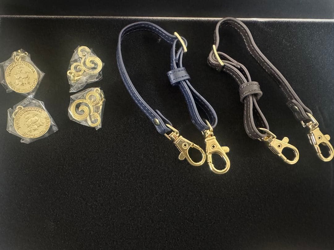 ディズニー　MIRACOSTA キーホルダーセット