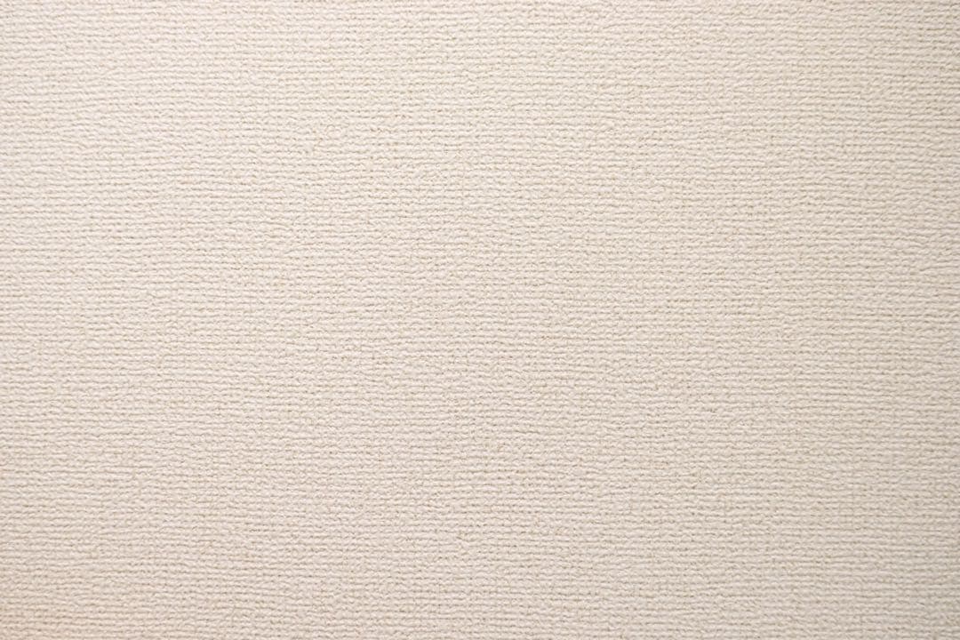 Canon EOS Kiss X9 ダブルズームキット（カメラバッグ付き）