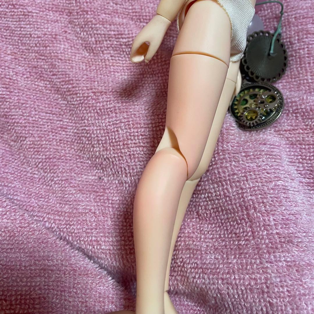 カスタムブライス+おまけのウィッグ付き