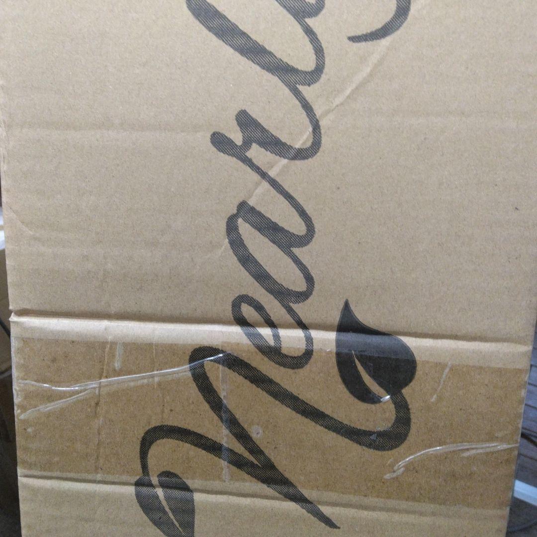 Nearly Natural 人工樹木 フィカス 1.2m　鉢　ブラック