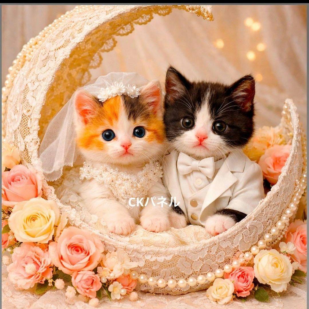 激レアウェディングねこパネル生地　ハンドメイド