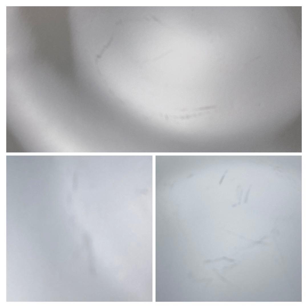 前畑陶器　庫山　御碗揃　吉祥文様　蓋付　小丼　丼　煮物碗　花　青海波　菊　梅