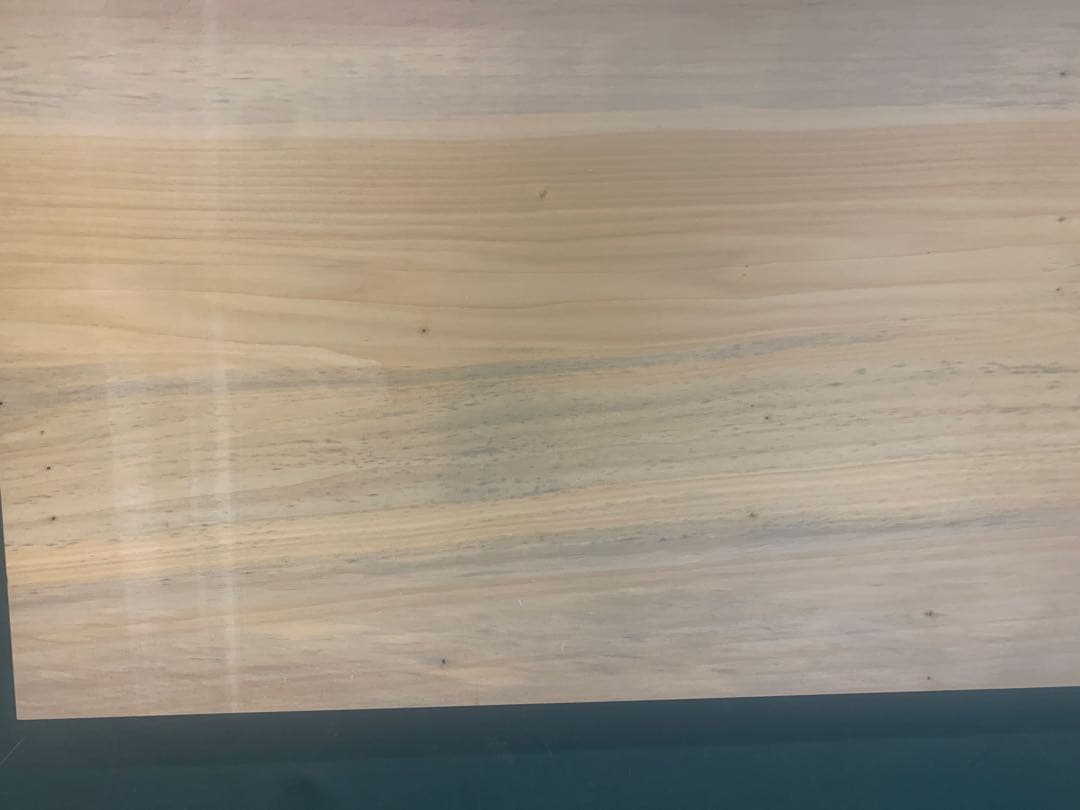 ☆ホース ☆勿体ない大きなイチョウまな板【サイズ㎜865✖︎395厚み40】