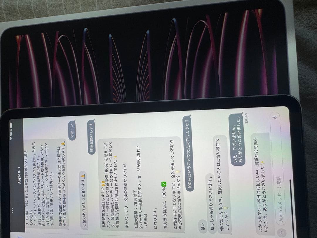 iPadPro11インチ 第4世代 256GB 最大充電容量100%