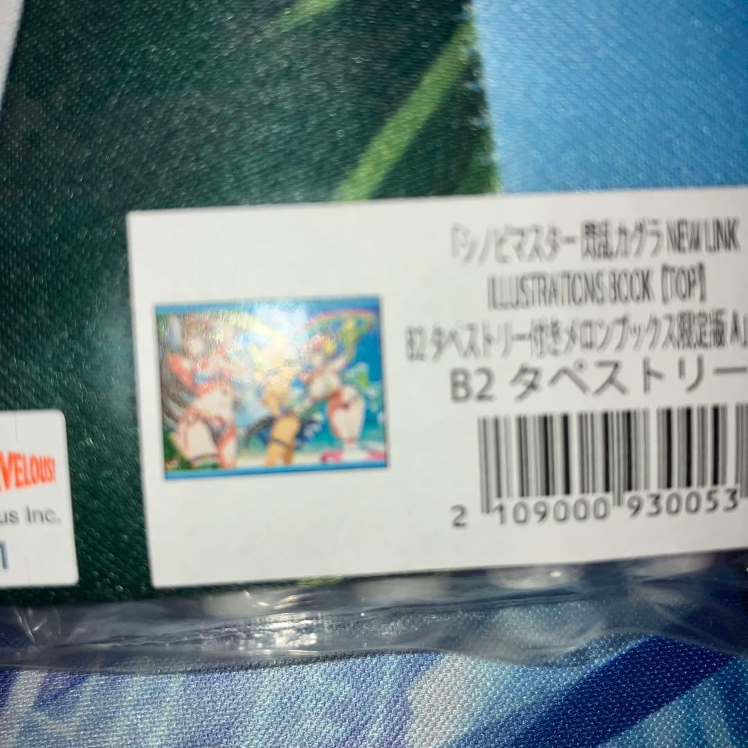 シノビマスター 閃乱カグラ NEW LINK B2タペストリーセット　未開封