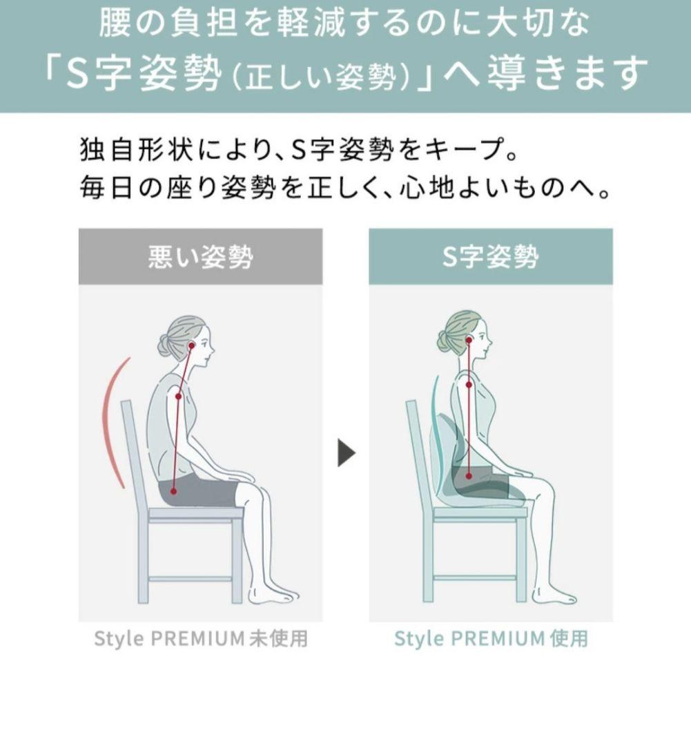 スタイルプレミアム Style PREMIUM MTG　ブラウン