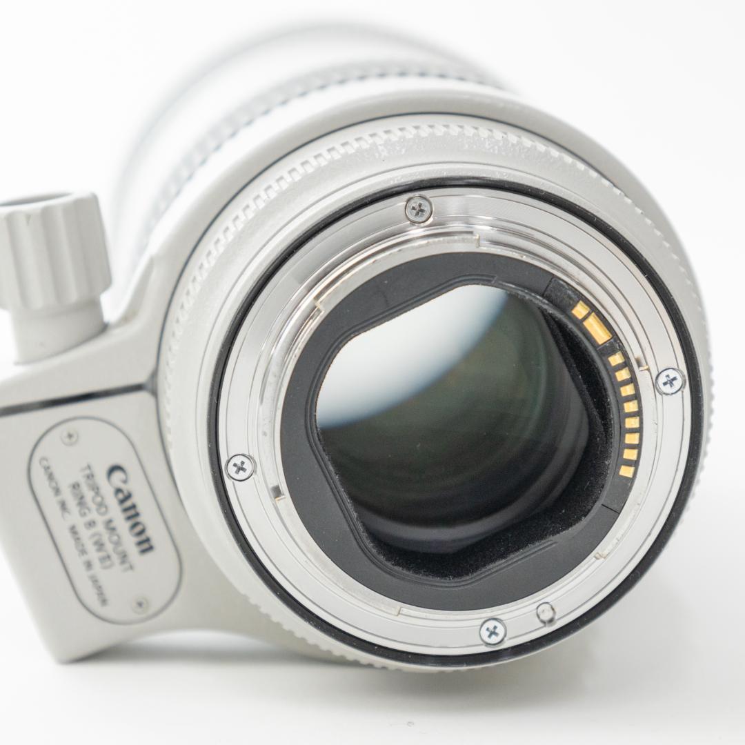 Canon EF70-200mm f2.8L IS Ⅲ USM