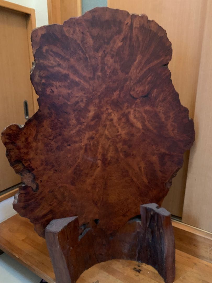 銘木 瘤杢 天然木 一枚板 輪切り 直径約70cm 無垢材