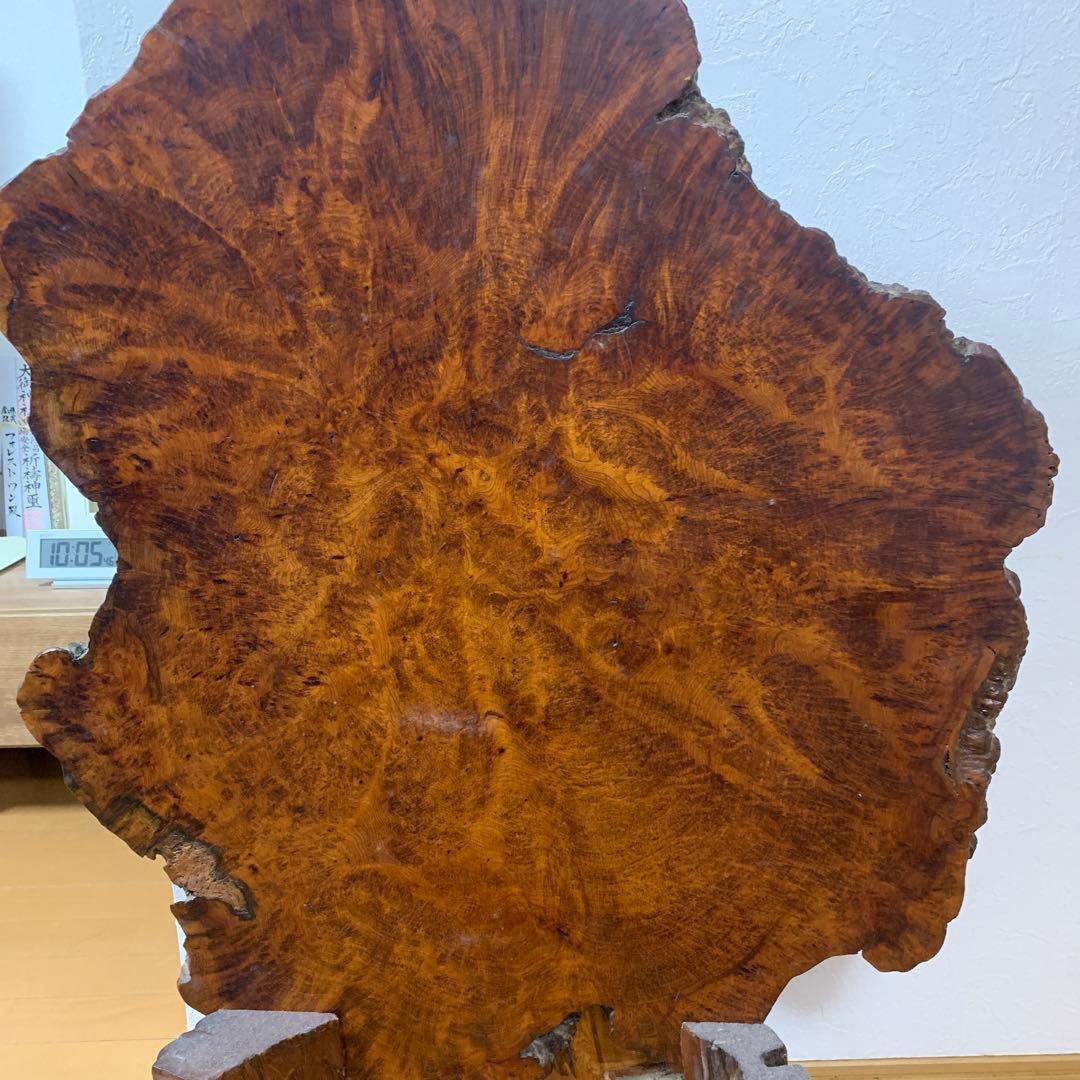 銘木 瘤杢 天然木 一枚板 輪切り 直径約70cm 無垢材