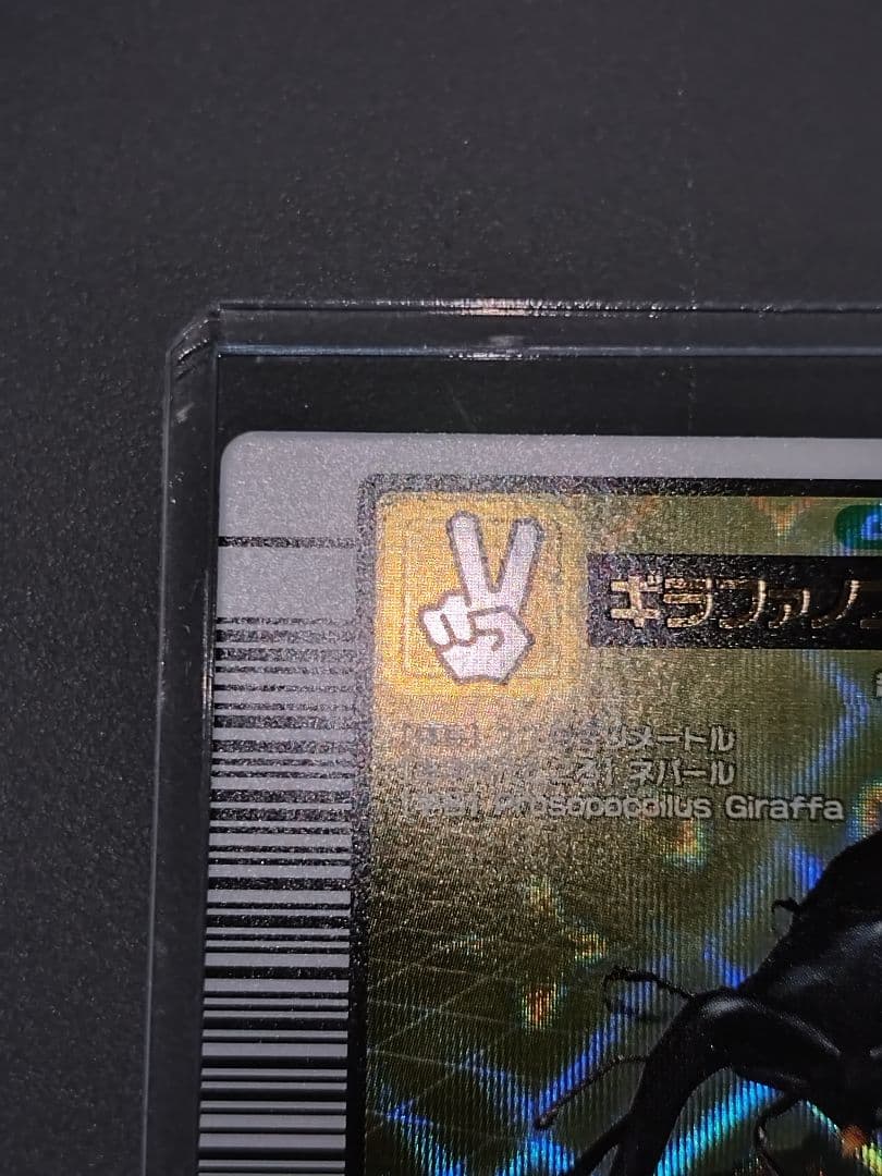 001ギラファノコギリクワガタ 2004ファースト 美品