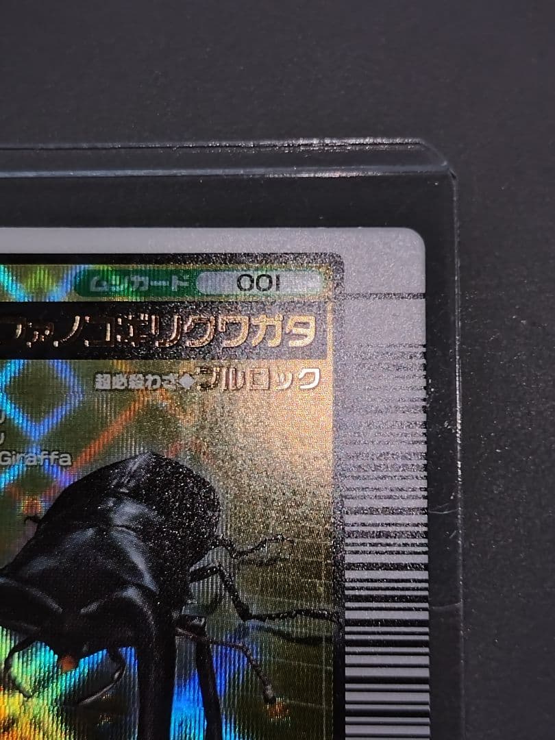 001ギラファノコギリクワガタ 2004ファースト 美品