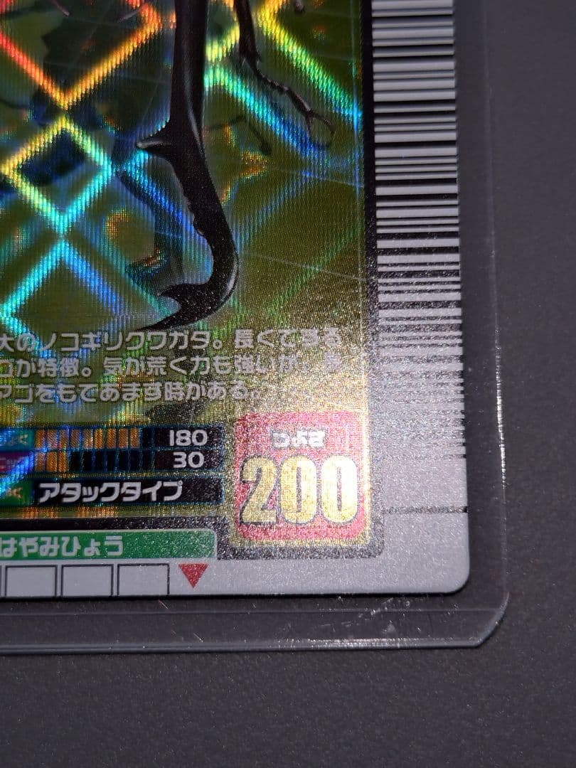 001ギラファノコギリクワガタ 2004ファースト 美品